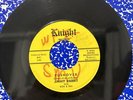 Rare GARAGE PUNK 45 Jimmy Rabbit PUSHOVER Knight Records 45