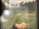 Kacey Musgraves Deeper Well Alt Art Nude Cream Transparent LP
