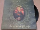 Sparklehorse It's A Wonderful Life Vinyl LP Original 2001 Mark Linkous PJ Harvey