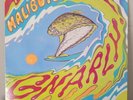 The Halibuts - The Halibuts LP Vinyl Record Surf Hot Rod RARE