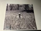 Taylor Swift Folklore in The Weeds (Limited Deluxe Teal, Vinyl LP, 2020) NEW