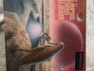 South Of Reality [Cloudy Blue/Purple 2 LP] [Amethyst Edition] by The Claypool...
