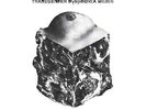 Against Me  | Blue Vinyl LP | Transgender Dysphoria Blues  |