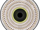 DUA LIPA RADICAL OPTIMISM Zoetrope Vinyl PRESALE