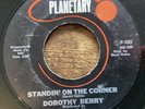 SHINDIG CITY - DOROTHY BERRY (PLANETARY)