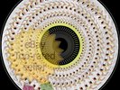 Dua Lipa Radical Optimism LE 5000 Vinyl Record LP Zoetrope Blood Records PRESALE