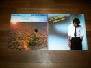 JOHN DAVID SOUTHER joe walsh ( 2 ) LP lot: YOU'RE ONLY LONELY / BLACK ROSE NM-