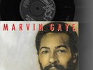 Marvin Gaye 