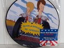 Beavis and Butt-head Do America Soundtrack - 20th Anniversary Picture Disc Vinyl