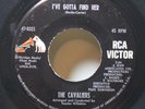 Cavaliers - 45 7