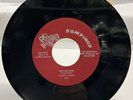 1973 Northern Soul Albert Jones Reflections/Up To The Sun 7” Record MINT