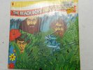 2-LP, Beach Boys - Endless Summer, SVBB-11307, 1974 SR w/POSTER, NM