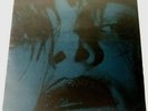 My Bloody Valentine - Feed Me Your Kiss - Vinyl 12