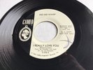 Rare 1965 Soul 45 *Dee Dee Sharp* I Really Love You  Cameo Promo  Beauty