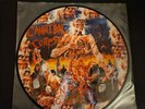 Cannibal Corpse Eaten Back to Life picture disc lp vinyl rare death metal