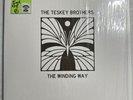 The Teskey Brothers - The Winding Way 12” White Vinyl Record NM