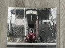 Signed Armand Hammer - We Buy Diabetic Test Strips Grape Vinyl