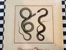 Suspended Animation LP by Fantomas vinyl 2014 VG+ Ipecac Recordings