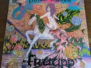 RARE PROG/FOLK-FRUUPP-FUTURE LEGENDS-UK DAWN 1ST G/F LP TEXTURED SLEEVE