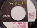 The Monzas Hey I Know You 45 on Wand Records Forever Walks A Drifter Beach Music