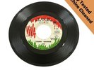 Jimmy George   It Was Fun While It Lasted Northern Soul Viva Records Promo Copy