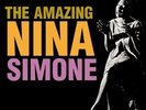 Amazing Nina Simone by Nina Simone (Record, 2004)