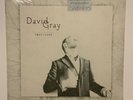 David Gray, Foundling, 2010 1st Pressing Vinyl LP SEALED