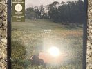 Kacey Musgraves LIMITED EDITION COVER Deeper Well | Transparent Cream Vinyl NEW