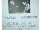 LED ZEPPELIN                  Live 1975  