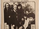 IN SHRINK Crosby Stills, Nash & Young - Wooden Nickel LP EX/VG+ Canyon Records