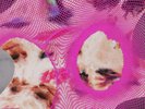 Arca Kick The Complete Cycle 5LP Limited Edition Boxset: kick i - iiiii Sold Out