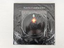 Kate Bush and So Is Love Ltd Ed 7