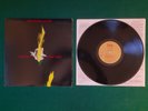 The Flesh Eaters- Forever Came Today 1st press 1982 garage punk Slash/Ruby LP