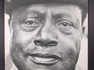 BUKKA WHITE: parchman farm COLUMBIA 12