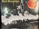Dead Kennedys – Fresh Fruit For Rotting Vegetables - 12” VINYL LP + POSTER-Used