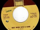 Isley Brothers - Why When The Love Is Gone - Tamla