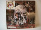 SLAYER  SOUTH OF HEAVEN  GEFFEN RECORDS 924 203 1  NEAR MINT  LP VINYL