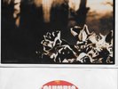 BRUCE SPRINGSTEEN  Secret Garden / Thunder Road LIVE  45 with PicSleeve