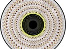 Dua Lipa - Radical Optimism (Blood Records Zoetrope Picture Disc)