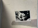 LP Album FLEETWOOD MAC Bare Trees, Rumours, Tusk - Vinyl - 3 Albums