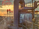 Pink Floyd - Live in NYC 1977 - New Import LP on GREEN Colored Marbled Vinyl