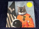 Klaxons - Surfing The Void vinyl LP albums, white vinyl