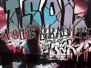 TSOL | Black Vinyl LP | A-Side Graffiti | Kitten Robot Records