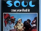 1972 VG+ LP: CAN YOU FEEL IT - S.O.U.L. , NSPL 28162