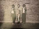 The Chats (2) - Get Fucked (LP, Album) (Mint (M)) - 3000379520