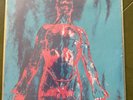 Nirvana Sliver/Dive 45 Record 7” Sub Pop Vinyl 1990 Rare, Kurt Cobain