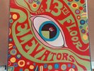 13th Floor Elevators 