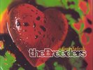 Breeders vinyl LP album record Last Splash UK CADD3014 4AD