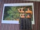 Roxy music Country life rare vinyl LP & poster