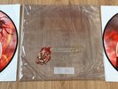 THE HUNGER GAMES CATCHING FIRE - OST *2LP* LIMITED PICTURE VINYL Coldplay Lorde